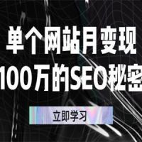 单个网站月变现100万的SEO秘密：如何百分百做出赚钱站点 b10445