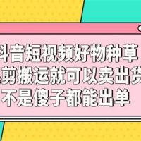 抖音短视频好物种草，混剪搬运就可以卖出货，不是傻子都能出单 b10471