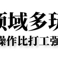 多领域多玩法，矩阵操作比打工强10倍