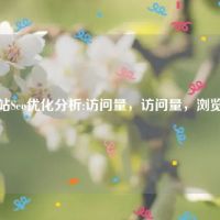 网站Seo优化分析:访问量，访问量，浏览量